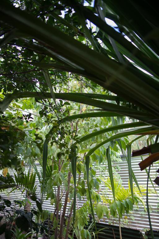 Tamarindo Sunshine Hotel Eksteriør billede
